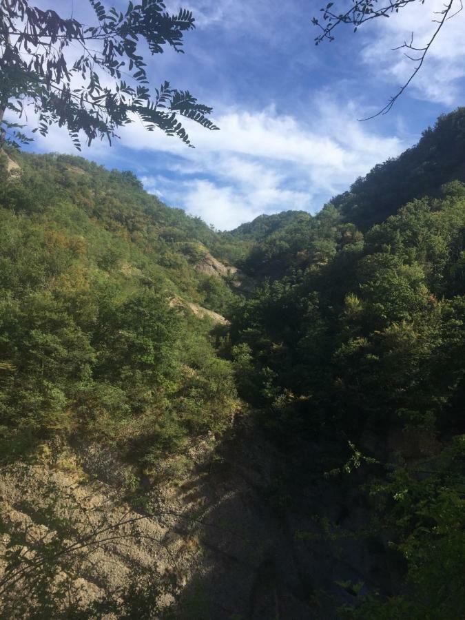 Cantalupo LigureB B Griffondoro住宿加早餐旅馆 外观 照片